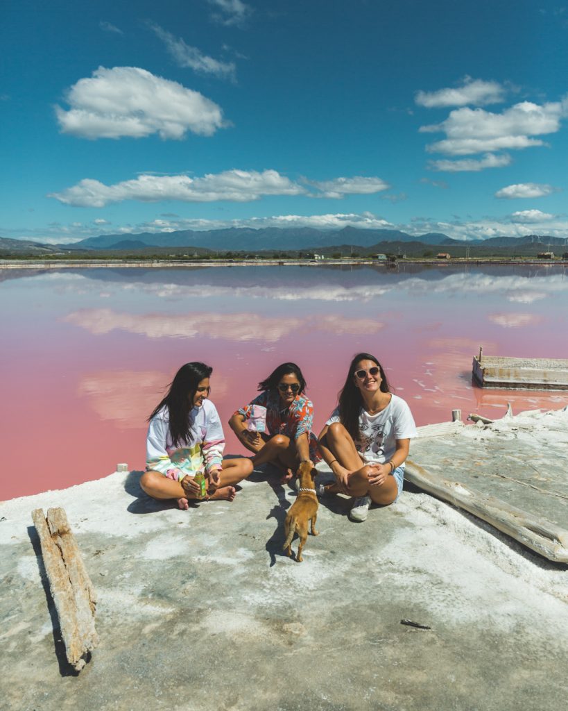 Las Salinas Bani Dominican Republic Pink Stock Photo 1375315721